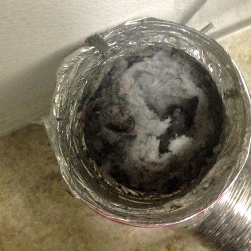 Dryer hose that was replaced