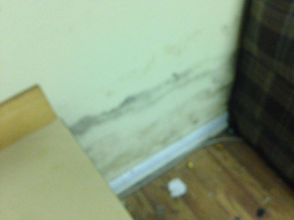 Mold from outside water leak in block