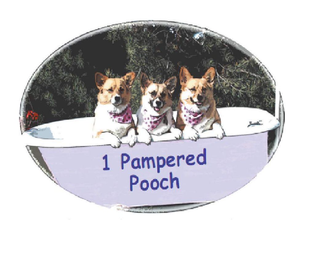 1 Pampered Pooch
