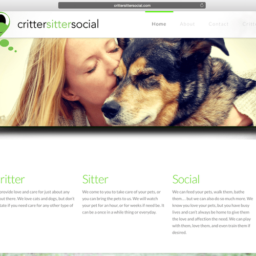 Critter Sitter Social brand identity, logo, and we