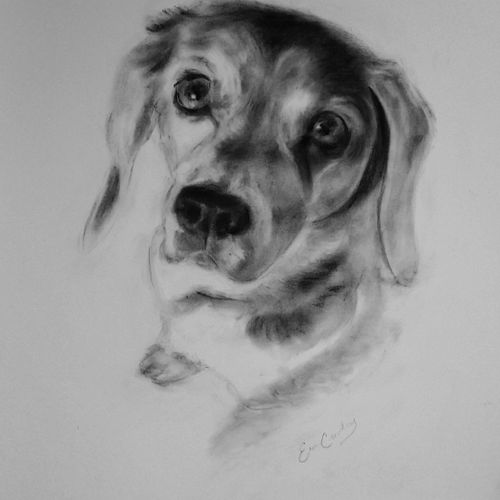 Pet Portrait holiday gift