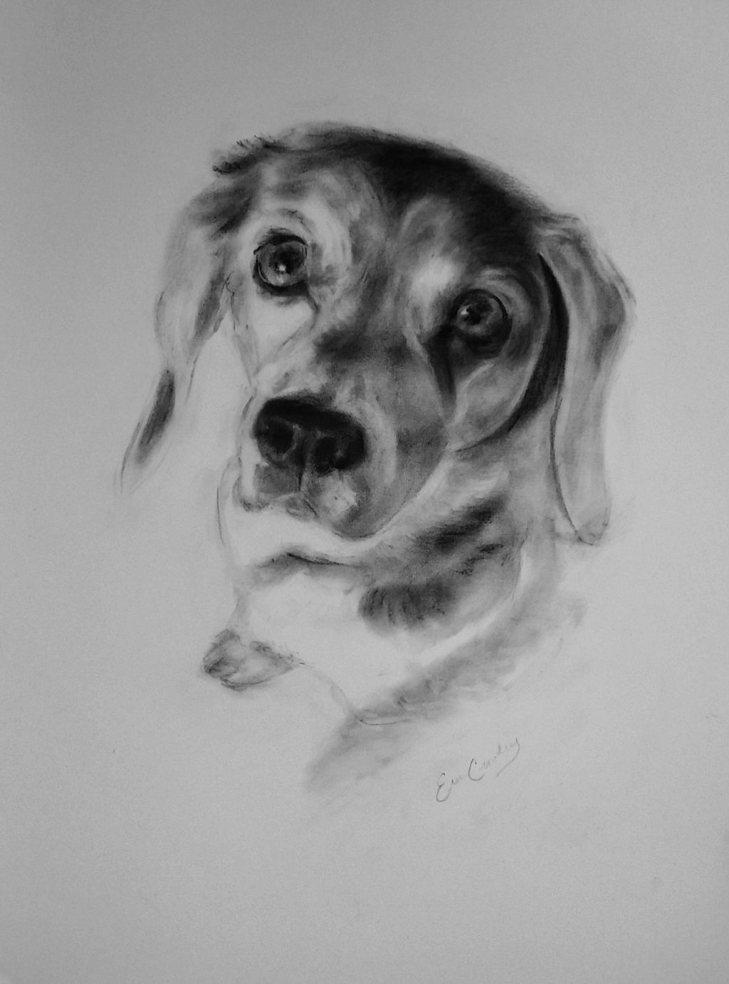Pet Portrait holiday gift