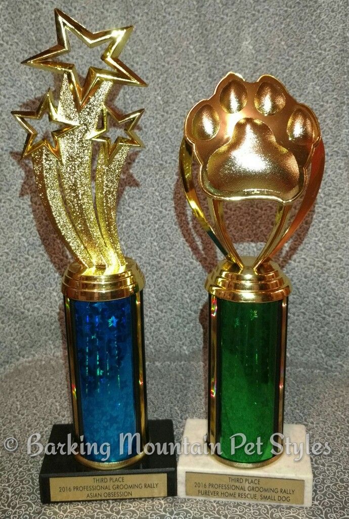 Owner/Groomer Rachel Mongno is an award winning st