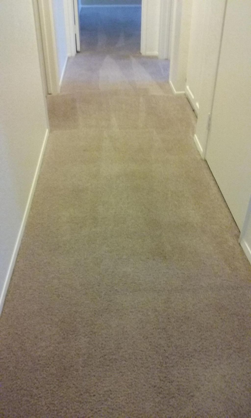 After Hallway at a local apartment.