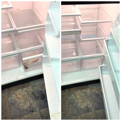 Move Out Fridge Cleaning - Before/After