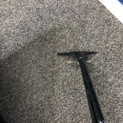 Cleaning carpet 