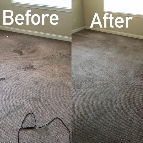 Extraction Carpet cleaning 