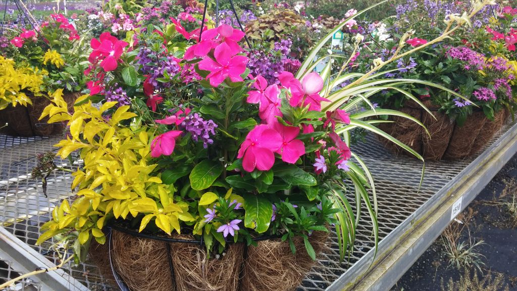 Designer Baskets done for Disney