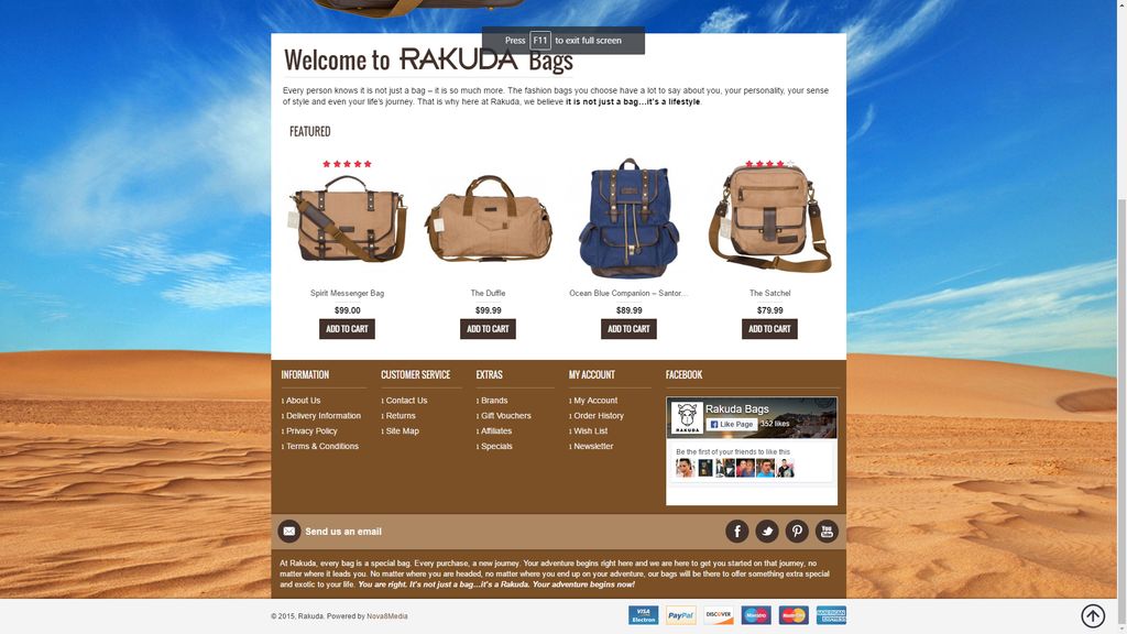 eCommerce Web Design Example 2