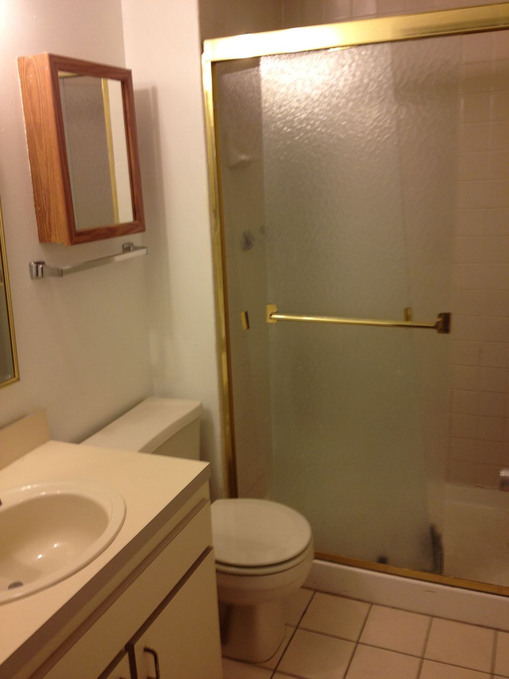 bathroom project before