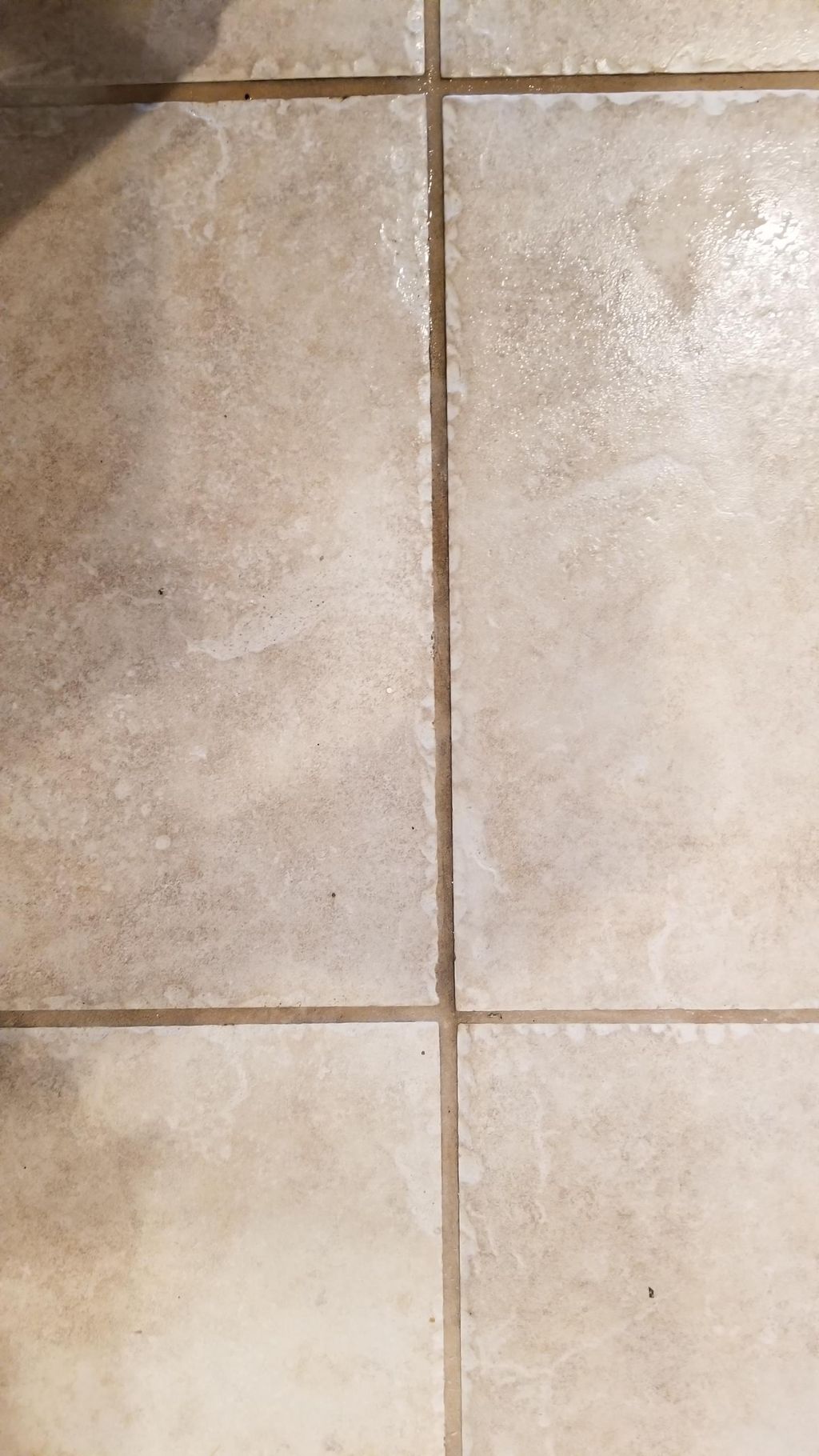 Grout cleaning job BEFORE