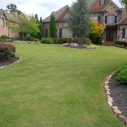 Designed,lawn maintaince and planted bushes