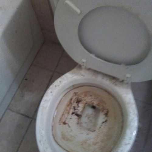 Before we cleaned this toilet