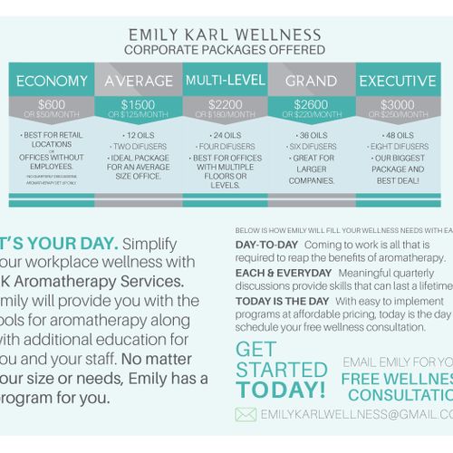 Emily Karl Wellness - Brochure design (inside)