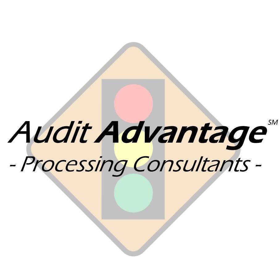 Audit Advantage Consulting