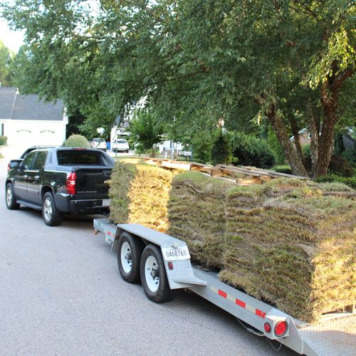 Sod has arrived!