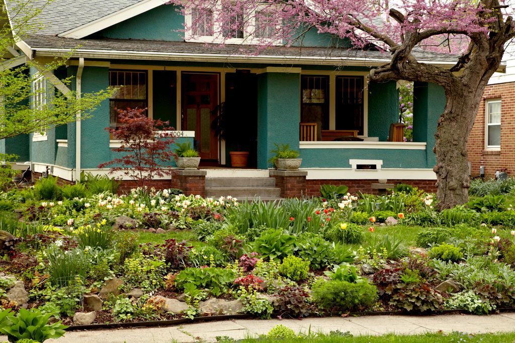 Front Yard design
