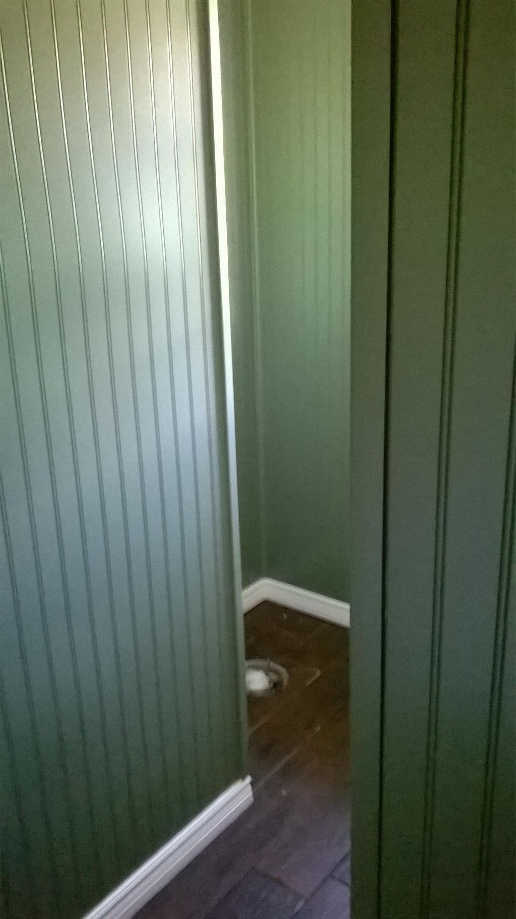 Lovely green 