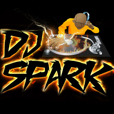Avatar for DJ Spark Entertainment, lighting and Photo booth