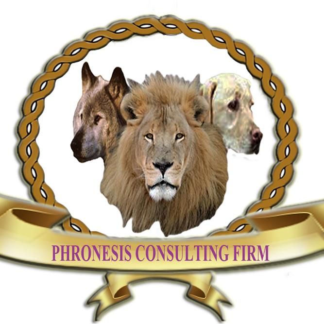 Phronesis Consulting Firm