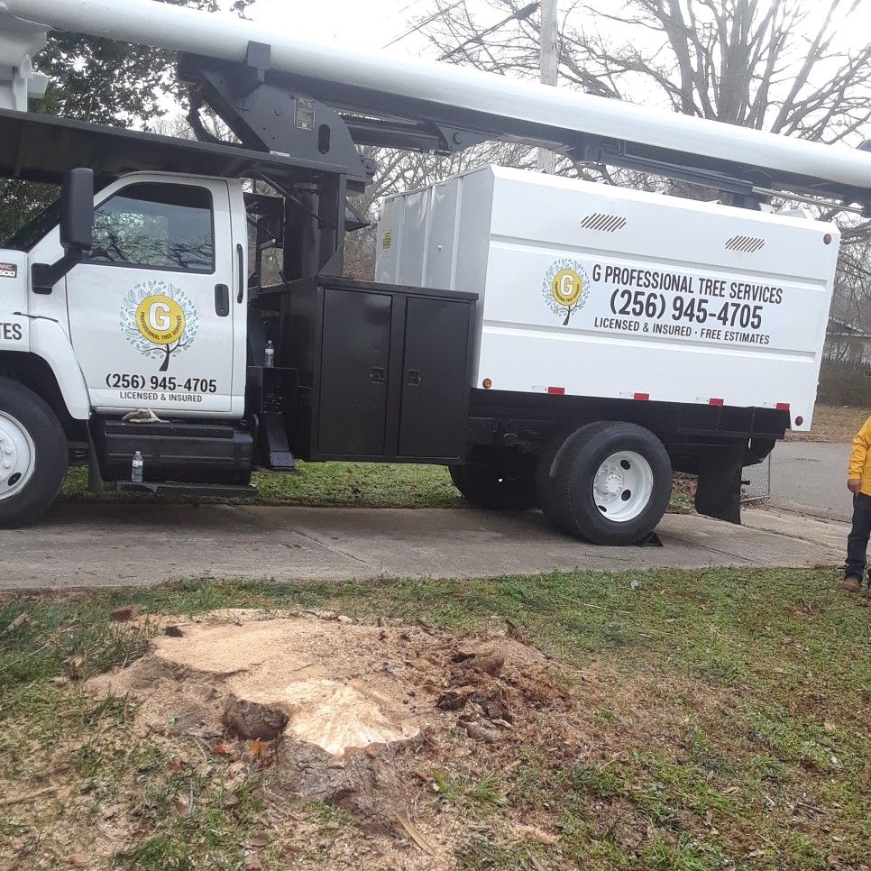 G professional tree services