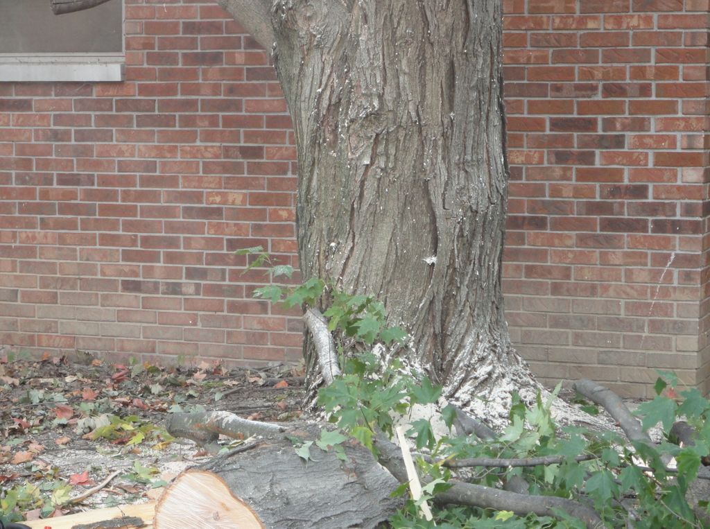 Yes, that is close to your house.