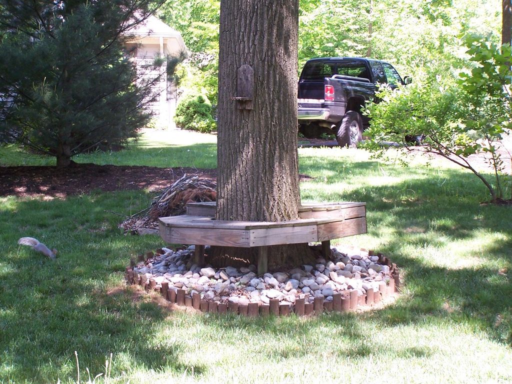 Custom Built Bench Around Tree