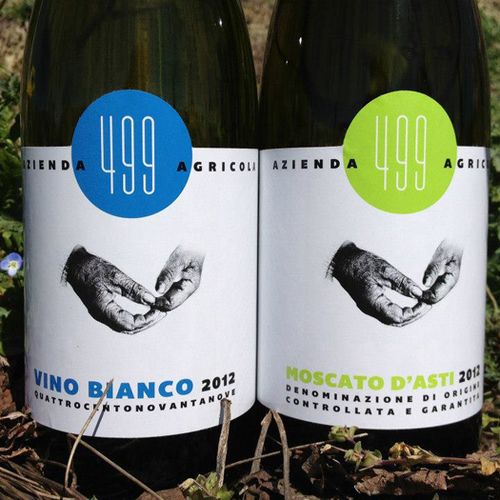 Branding and label design for Italian wine produce