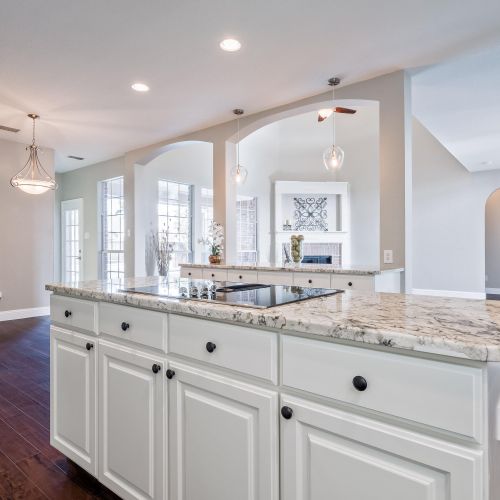 This a gorgeous countertop is called White Ice. 