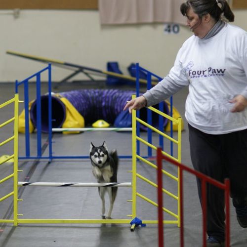 Agility classes and private lessons!