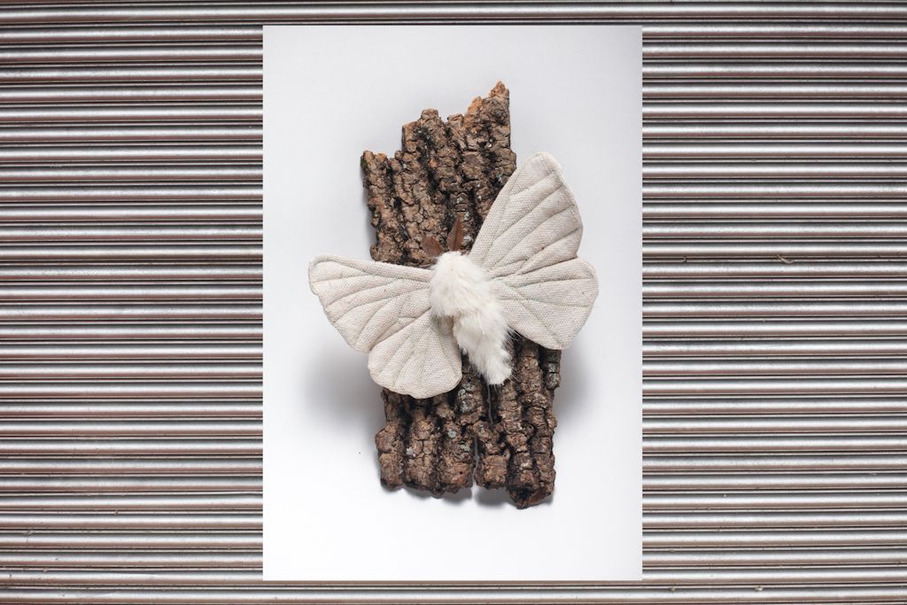 Stylized Product Photography