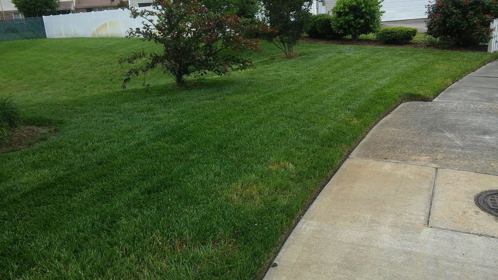 As you can see we don't use String Trimmers to edg