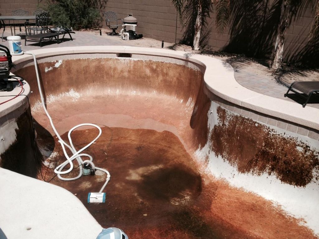 Algae pool drained and before cleaning 