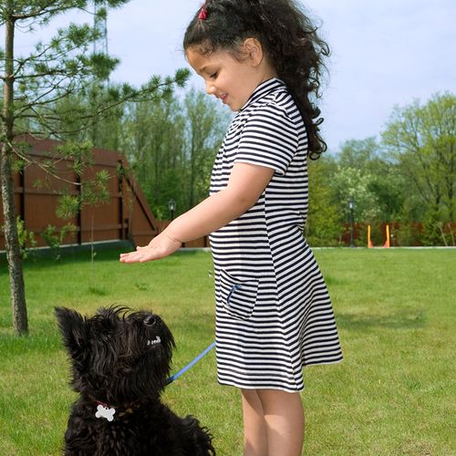 5 year old little girl learning basic dog obedienc