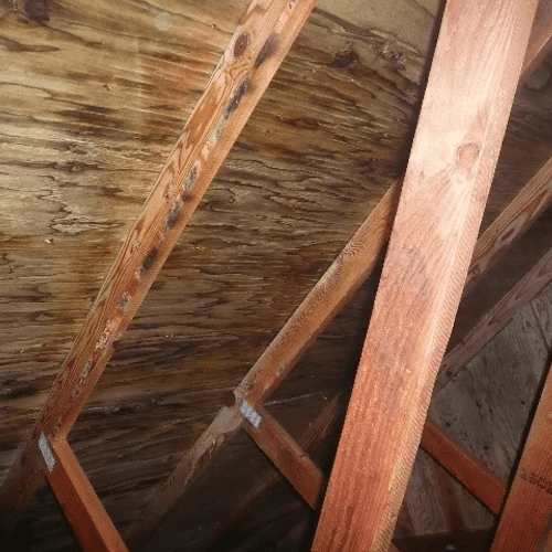 Attic - after treatment - no sanding or wire brush
