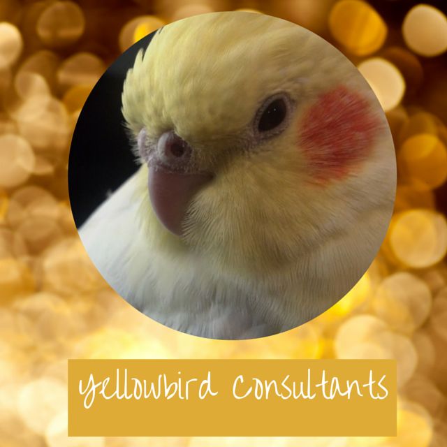 Yellowbird Consultants: Social Media Management...