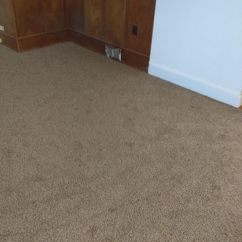 carpet we laid 