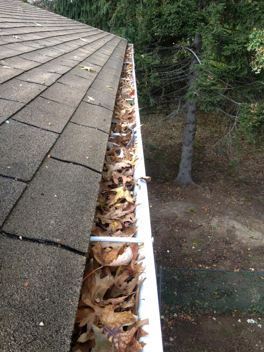 gutter cleaning