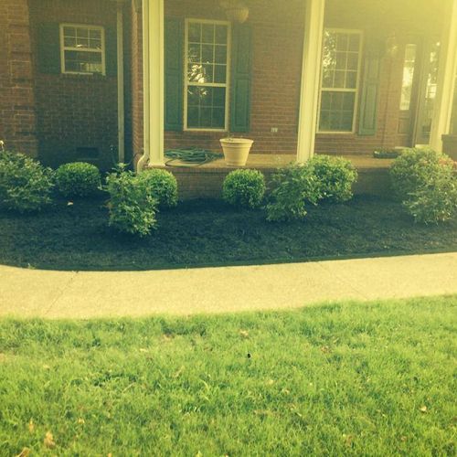 Mulching and weed removal to create fresh look in 