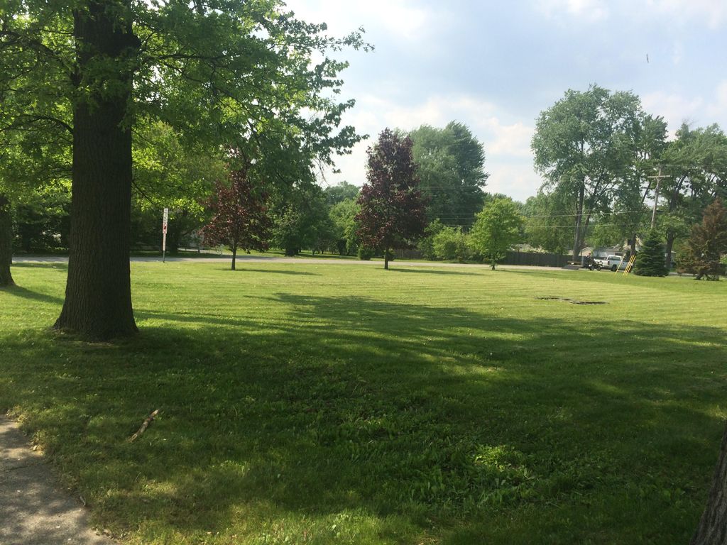 Lot maintenance customer in Taylor.