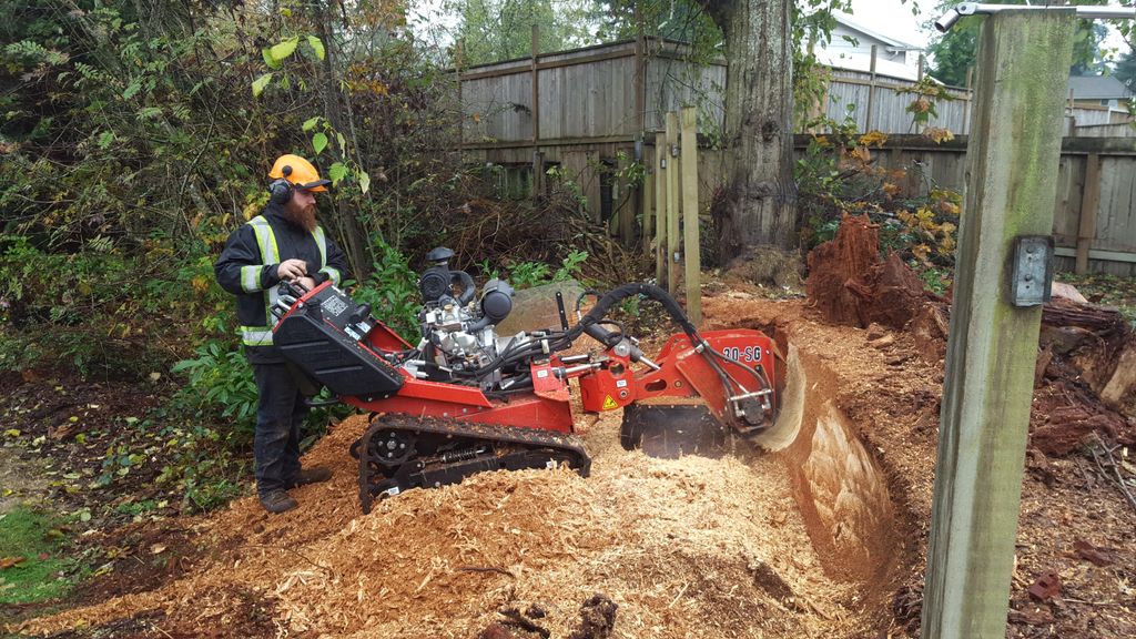 Building a fence? We can get that stump out of you