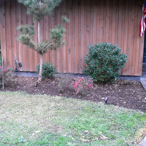 Weeded bed, trimmed hedges and added more soil to 