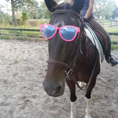 She's the coolest horse to ride.