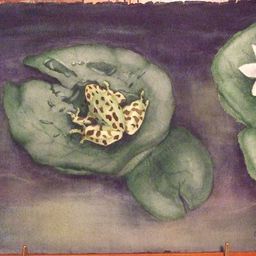 Water color "Lonely Frog"