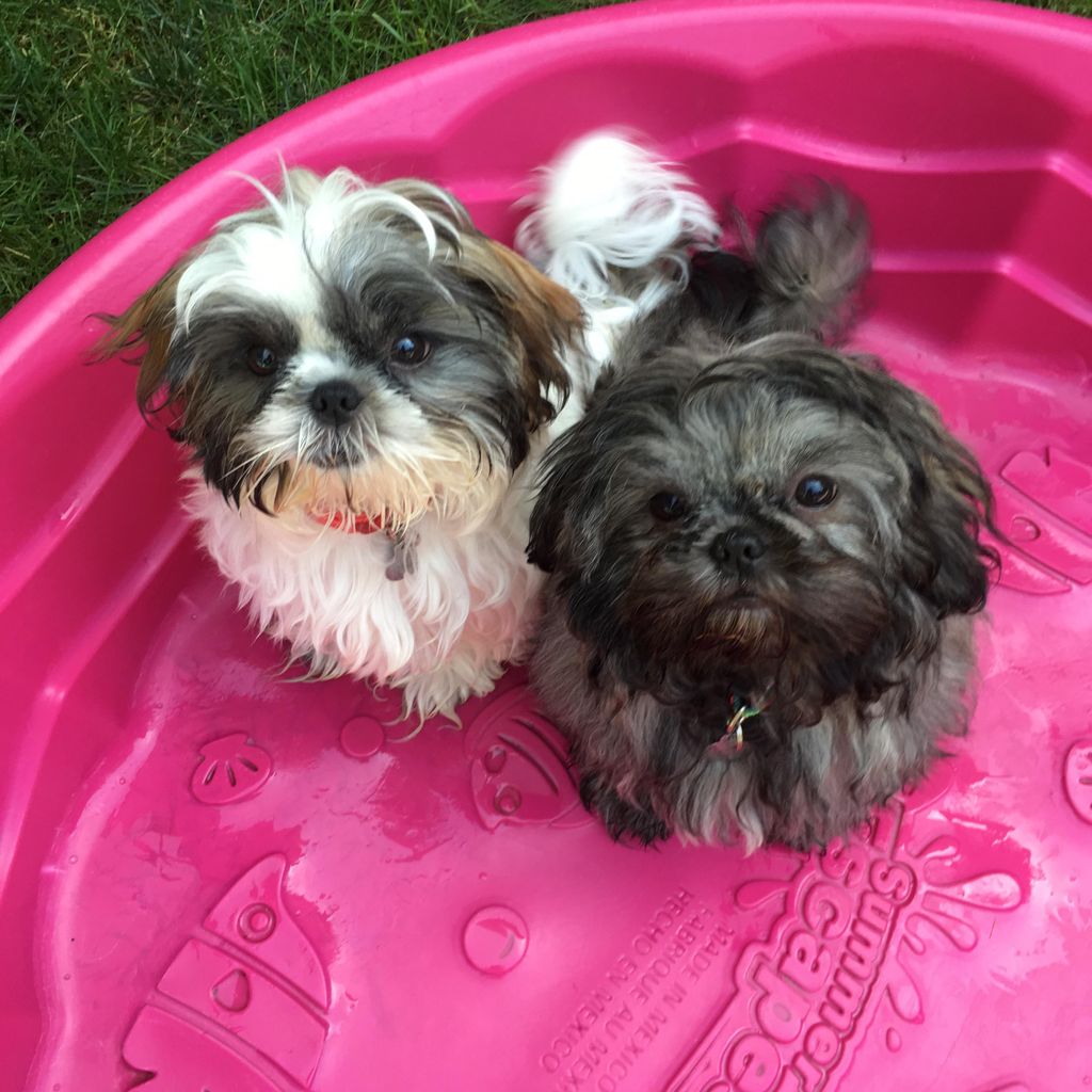 Daisy&Stella
