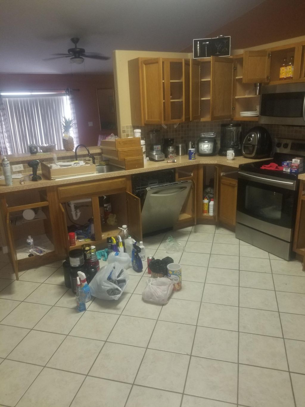 german roache infestation 