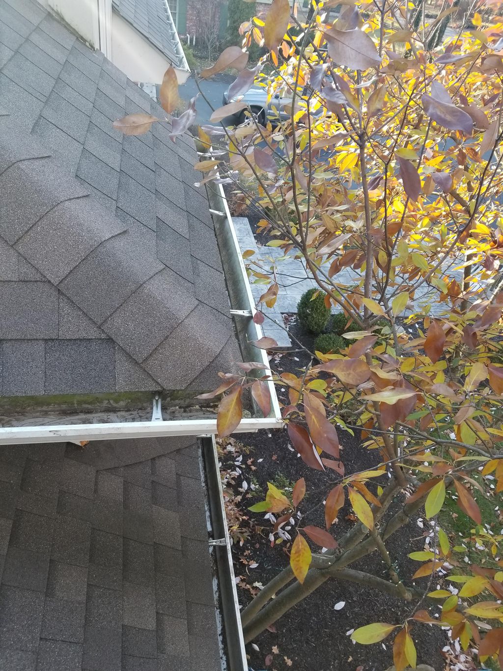 gutter cleaning 