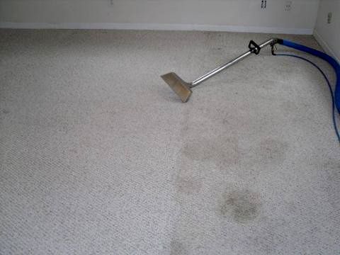 Contrast of carpet before and after 