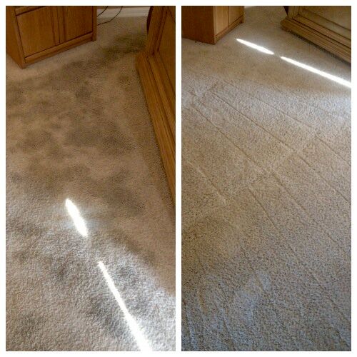 Dirty Carpets? We can help with that! Carpet that 