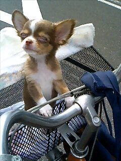 Avy, I'd rather walk.